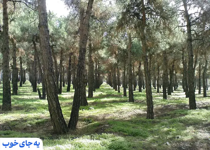 پارک جنگلی پردیسان پارک جنگلی پردیسان